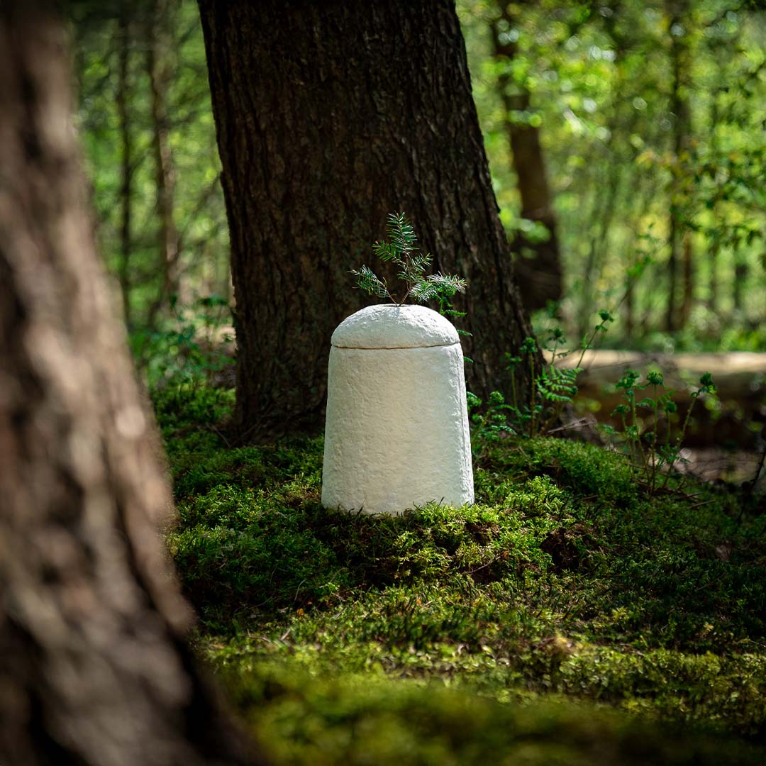 Urn Loop Earthrise™ Calm
