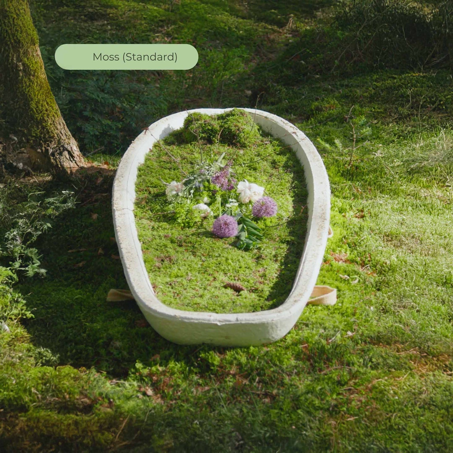 Opbaarplank Loop Forestbed™ Calm