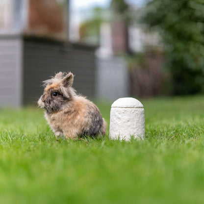 Urn Loop FurEver™ Calm