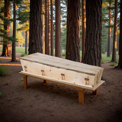 : Uitvaartkist van massief populierenhout met natuurlijke bastafwerking, geplaatst op een houten baar tussen hoge dennenbomen in een bos, zacht belicht door avondzon.